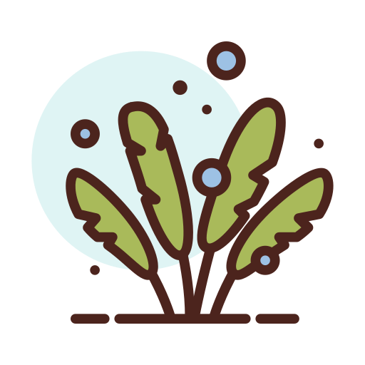 Icon of seaweed